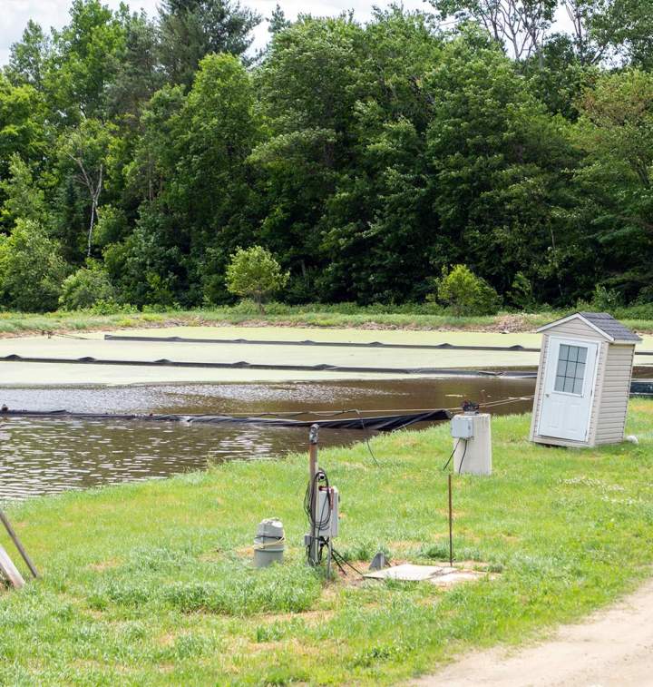 Épuration eaux usées Chénéville